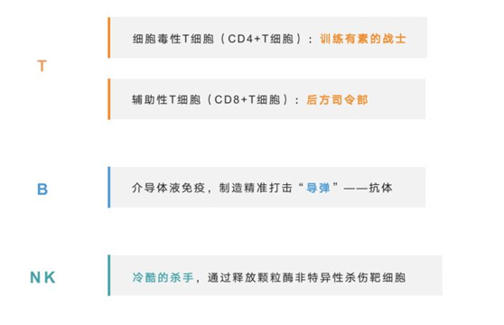 2021世界強(qiáng)化免疫日 | 紐盾帶你認(rèn)識(shí)免疫系統(tǒng)的構(gòu)成